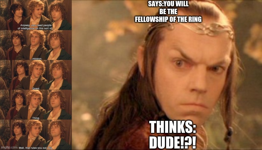 Smat man | SAYS:YOU WILL BE THE FELLOWSHIP OF THE RING; THINKS: DUDE!?! | image tagged in lord of the rings | made w/ Imgflip meme maker