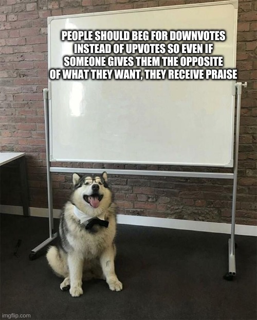 vote down | PEOPLE SHOULD BEG FOR DOWNVOTES INSTEAD OF UPVOTES SO EVEN IF SOMEONE GIVES THEM THE OPPOSITE OF WHAT THEY WANT, THEY RECEIVE PRAISE | image tagged in how to be a good boy | made w/ Imgflip meme maker