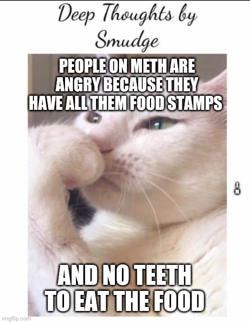 Smudge | PEOPLE ON METH ARE ANGRY BECAUSE THEY HAVE ALL THEM FOOD STAMPS; J M; AND NO TEETH TO EAT THE FOOD | image tagged in smudge | made w/ Imgflip meme maker
