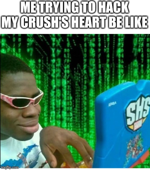 ? | ME TRYING TO HACK MY CRUSH'S HEART BE LIKE | image tagged in crush | made w/ Imgflip meme maker