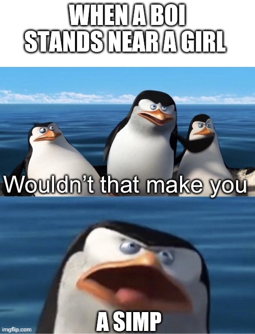 SIMP | WHEN A BOI STANDS NEAR A GIRL; A SIMP | image tagged in wouldn t that make you,simp | made w/ Imgflip meme maker