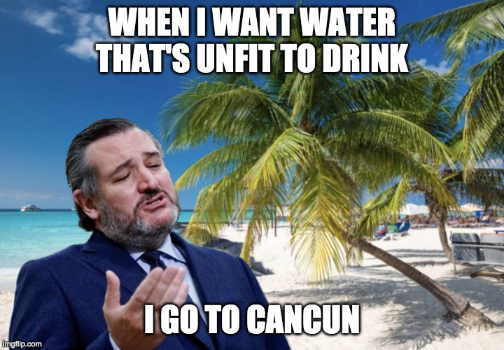 cruz unfit water | WHEN I WANT WATER THAT'S UNFIT TO DRINK; I GO TO CANCUN | image tagged in ted cruz cancun | made w/ Imgflip meme maker