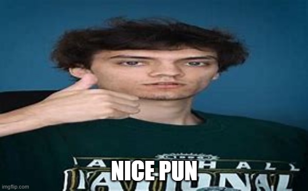 dani | NICE PUN | image tagged in dani | made w/ Imgflip meme maker