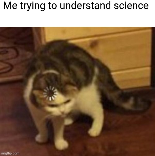 It's confusing to me | Me trying to understand science | image tagged in blank white template,loading cat,school | made w/ Imgflip meme maker