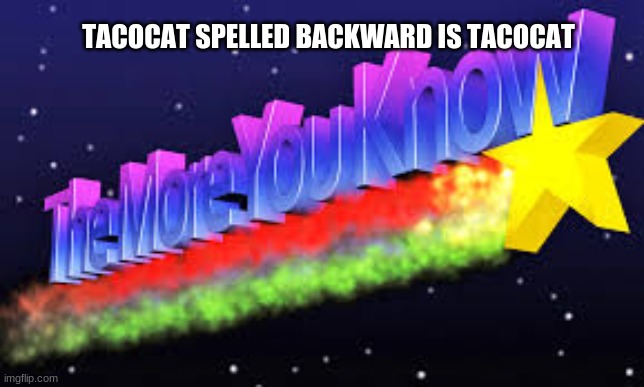 the more you know | TACOCAT SPELLED BACKWARD IS TACOCAT | image tagged in the more you know | made w/ Imgflip meme maker