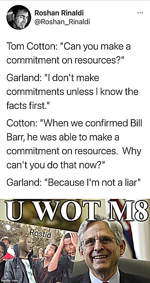 Oof size Future AG Merrick Garland | image tagged in attorney general,u wot m8,roasted,insult,justice,roast | made w/ Imgflip meme maker