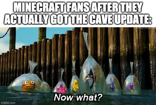 Mindcraft | MINECRAFT FANS AFTER THEY ACTUALLY GOT THE CAVE UPDATE: | image tagged in now what | made w/ Imgflip meme maker