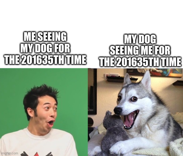 i luv my dogger | MY DOG SEEING ME FOR THE 201635TH TIME; ME SEEING MY DOG FOR THE 201635TH TIME | image tagged in blank white template,pogchamp,memes,bad pun dog | made w/ Imgflip meme maker