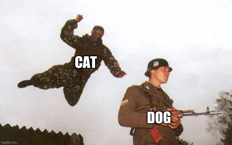 Attack | CAT DOG | image tagged in attack | made w/ Imgflip meme maker