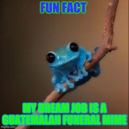 It be a true | FUN FACT; MY DREAM JOB IS A GUATEMALAN FUNERAL MIME | image tagged in fun fact frog | made w/ Imgflip meme maker