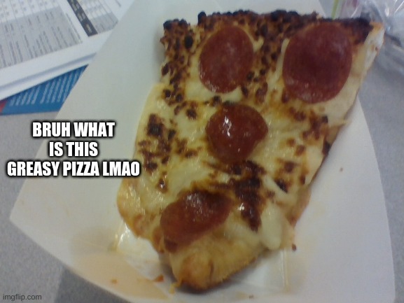 School lunch. -.- | BRUH WHAT IS THIS GREASY PIZZA LMAO | image tagged in pizza | made w/ Imgflip meme maker