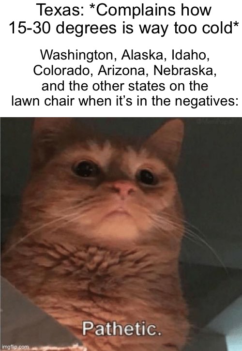 Pathetic Cat | Texas: *Complains how 15-30 degrees is way too cold*; Washington, Alaska, Idaho, Colorado, Arizona, Nebraska, and the other states on the lawn chair when it’s in the negatives: | image tagged in pathetic cat | made w/ Imgflip meme maker