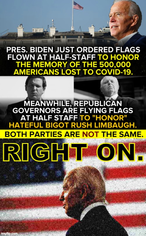 The leadership we voted for. The leadership we need. | RIGHT ON. | image tagged in biden half-staff rush limbaugh,joe biden flag deep-fried | made w/ Imgflip meme maker