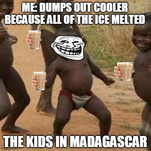 Third World Success Kid | ME: DUMPS OUT COOLER BECAUSE ALL OF THE ICE MELTED; THE KIDS IN MADAGASCAR | image tagged in memes,third world success kid | made w/ Imgflip meme maker