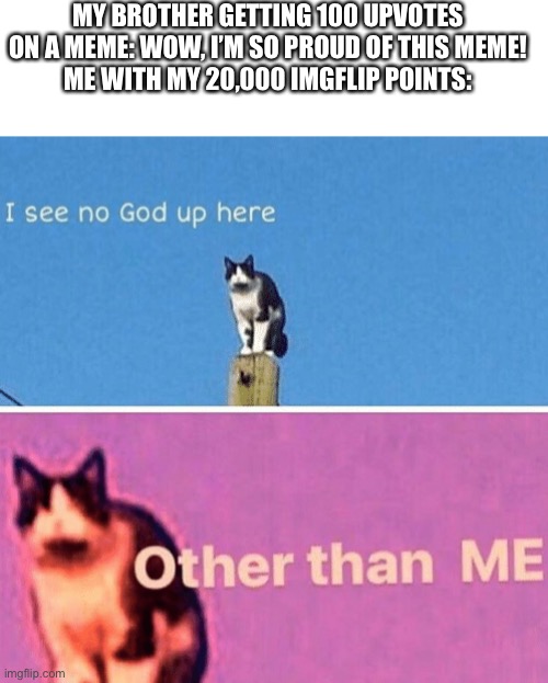 Thank you all for 20k points!!! | MY BROTHER GETTING 100 UPVOTES ON A MEME: WOW, I’M SO PROUD OF THIS MEME!
ME WITH MY 20,000 IMGFLIP POINTS: | image tagged in hail pole cat,meme | made w/ Imgflip meme maker