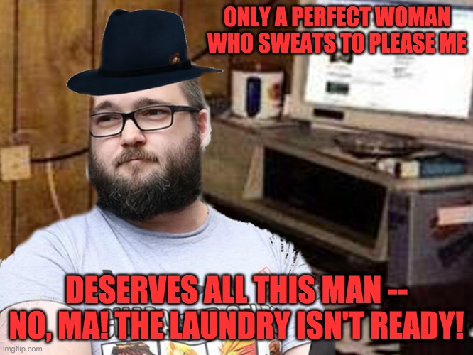 Basement Dweller | ONLY A PERFECT WOMAN
WHO SWEATS TO PLEASE ME DESERVES ALL THIS MAN -- NO, MA! THE LAUNDRY ISN'T READY! | image tagged in basement dweller | made w/ Imgflip meme maker