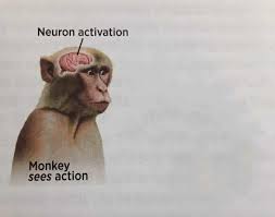 Neuron activation Blank Meme Template
