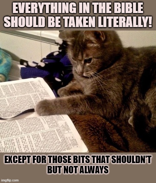 Is there a special highlighter to mark the Bible-bits that should be taken literally? | EVERYTHING IN THE BIBLE
SHOULD BE TAKEN LITERALLY! EXCEPT FOR THOSE BITS THAT SHOULDN'T
BUT NOT ALWAYS | image tagged in bible,bible verse,literally | made w/ Imgflip meme maker