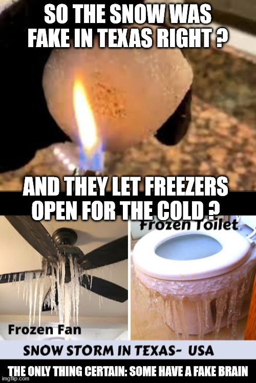 fake snow in texas | SO THE SNOW WAS FAKE IN TEXAS RIGHT ? AND THEY LET FREEZERS OPEN FOR THE COLD ? THE ONLY THING CERTAIN: SOME HAVE A FAKE BRAIN | image tagged in fun,funny,moron,fake news,fake,funny memes | made w/ Imgflip meme maker