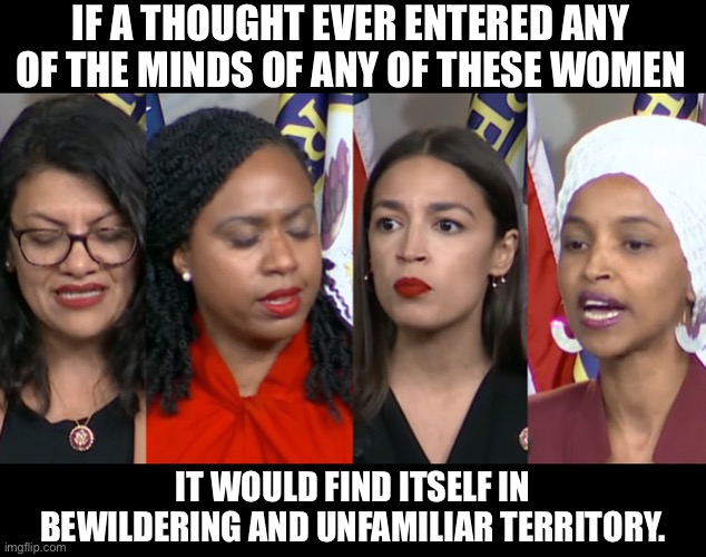 Unfamiliar territory | IF A THOUGHT EVER ENTERED ANY OF THE MINDS OF ANY OF THESE WOMEN; IT WOULD FIND ITSELF IN BEWILDERING AND UNFAMILIAR TERRITORY. | image tagged in aoc squad | made w/ Imgflip meme maker