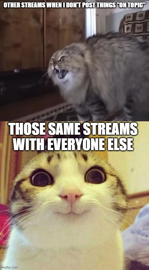 Especially politics | OTHER STREAMS WHEN I DON'T POST THINGS "ON TOPIC"; THOSE SAME STREAMS WITH EVERYONE ELSE | image tagged in hissing cat,memes,smiling cat,streams | made w/ Imgflip meme maker