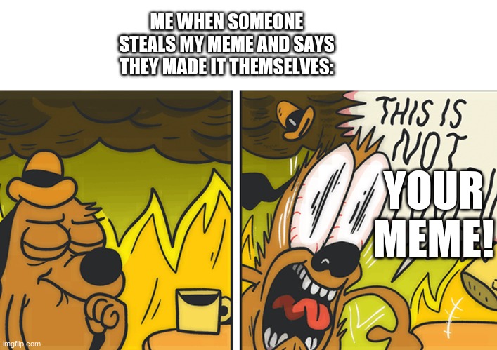 This is not fine | ME WHEN SOMEONE STEALS MY MEME AND SAYS THEY MADE IT THEMSELVES:; YOUR MEME! | image tagged in this is not fine | made w/ Imgflip meme maker