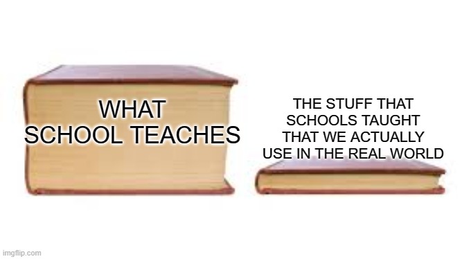 Big book small book | THE STUFF THAT SCHOOLS TAUGHT THAT WE ACTUALLY USE IN THE REAL WORLD; WHAT SCHOOL TEACHES | image tagged in big book small book | made w/ Imgflip meme maker