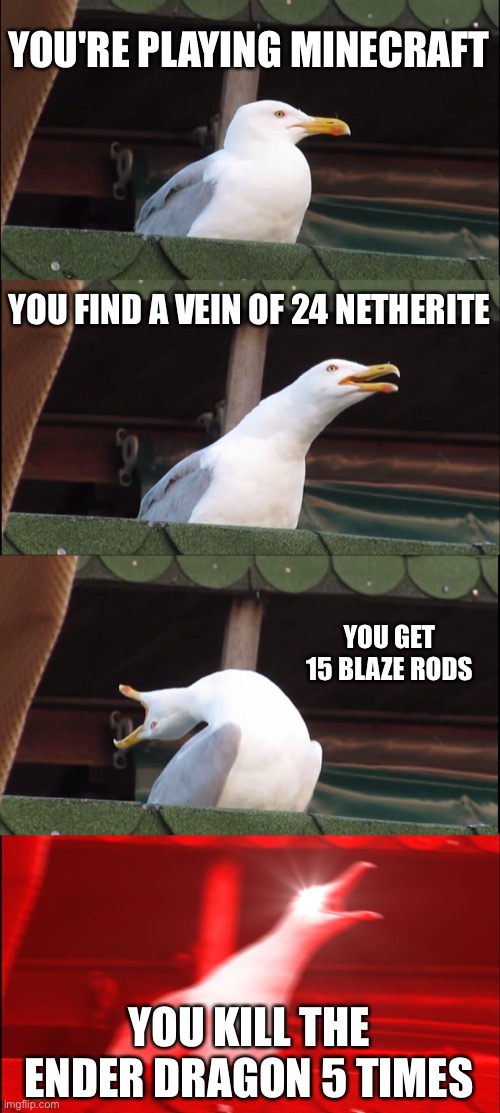 Minecraft speed runners be like | YOU'RE PLAYING MINECRAFT; YOU FIND A VEIN OF 24 NETHERITE; YOU GET 15 BLAZE RODS; YOU KILL THE ENDER DRAGON 5 TIMES | image tagged in memes,inhaling seagull | made w/ Imgflip meme maker