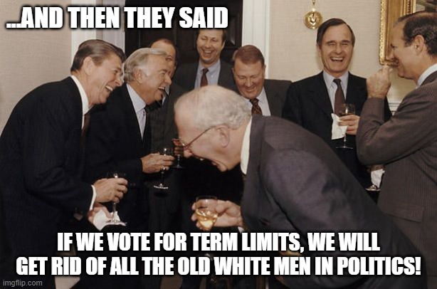 Old Men laughing | ...AND THEN THEY SAID; IF WE VOTE FOR TERM LIMITS, WE WILL GET RID OF ALL THE OLD WHITE MEN IN POLITICS! | image tagged in old men laughing | made w/ Imgflip meme maker