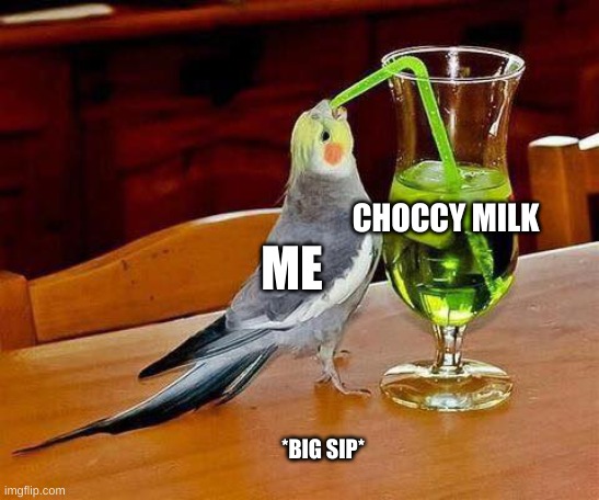 Big Sip | CHOCCY MILK ME *BIG SIP* | image tagged in big sip | made w/ Imgflip meme maker