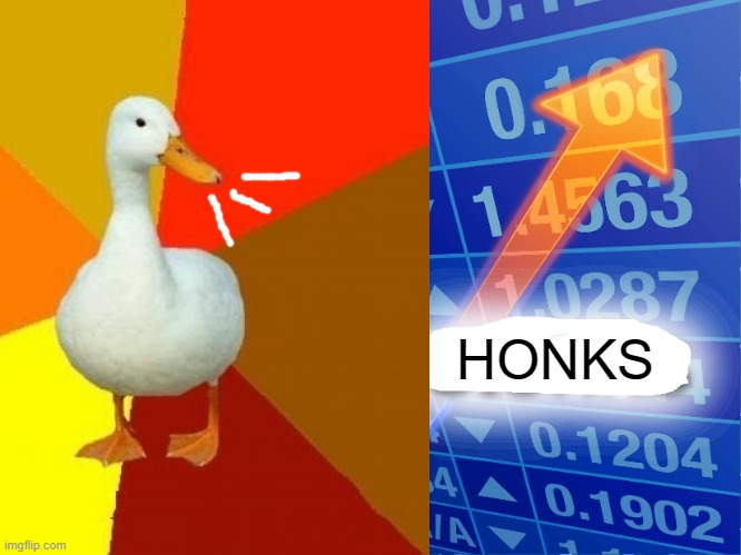 HONK | HONKS | image tagged in memes,duck,ducks,honks | made w/ Imgflip meme maker