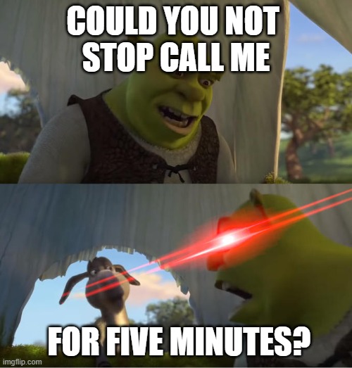 call me | COULD YOU NOT 
STOP CALL ME; FOR FIVE MINUTES? | image tagged in shrek for five minutes | made w/ Imgflip meme maker