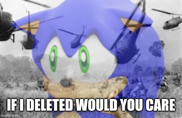 Be honest | IF I DELETED WOULD YOU CARE | image tagged in sonic veitnam war | made w/ Imgflip meme maker