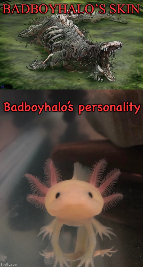 BADBOYHALO’S SKIN; Badboyhalo’s personality | made w/ Imgflip meme maker