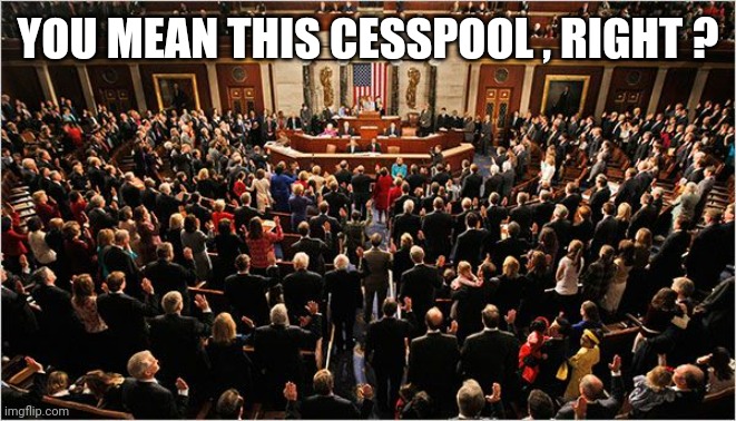 Congress | YOU MEAN THIS CESSPOOL , RIGHT ? | image tagged in congress | made w/ Imgflip meme maker