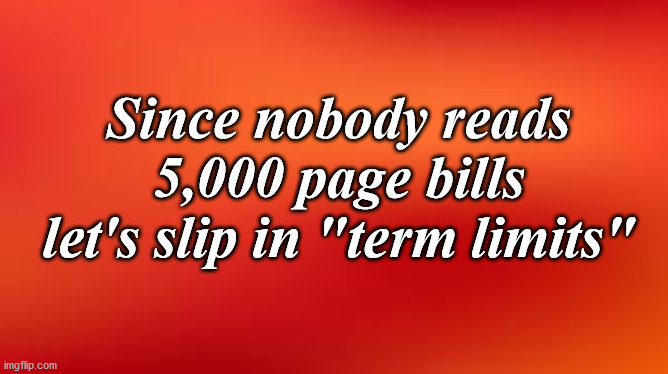 note | Since nobody reads 5,000 page bills let's slip in "term limits" | image tagged in note | made w/ Imgflip meme maker