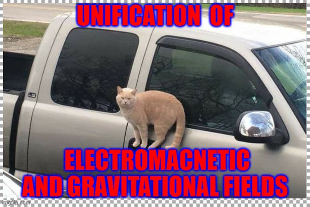 Cat Unifies Electromagnetic and Gravitational Fields | UNIFICATION  OF; ELECTROMACNETIC AND GRAVITATIONAL FIELDS | image tagged in cats,science,humor | made w/ Imgflip meme maker