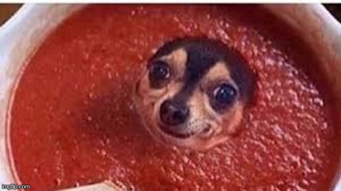 Sauce it up pupper | image tagged in sauce it up pupper | made w/ Imgflip meme maker