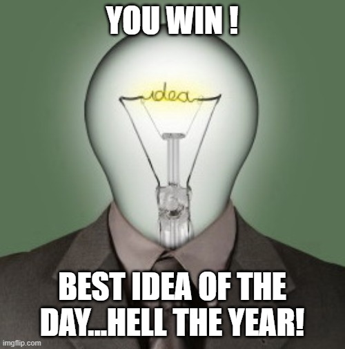Light Bulb Head | YOU WIN ! BEST IDEA OF THE DAY...HELL THE YEAR! | image tagged in light bulb head | made w/ Imgflip meme maker