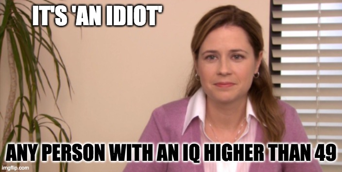 IT'S 'AN IDIOT' ANY PERSON WITH AN IQ HIGHER THAN 49 | made w/ Imgflip meme maker