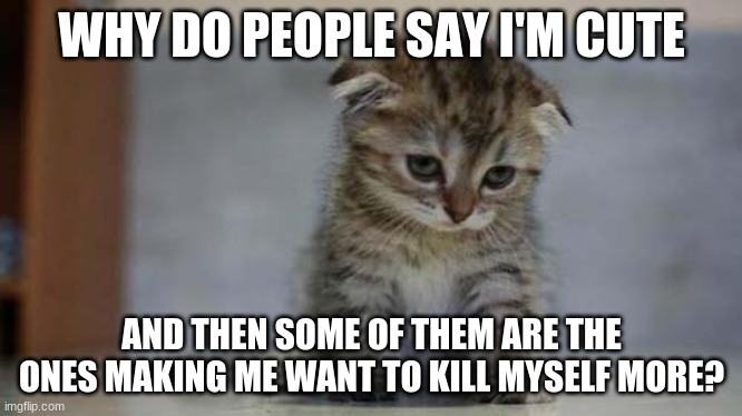 Sad kitten | WHY DO PEOPLE SAY I'M CUTE; AND THEN SOME OF THEM ARE THE ONES MAKING ME WANT TO KILL MYSELF MORE? | image tagged in sad kitten | made w/ Imgflip meme maker
