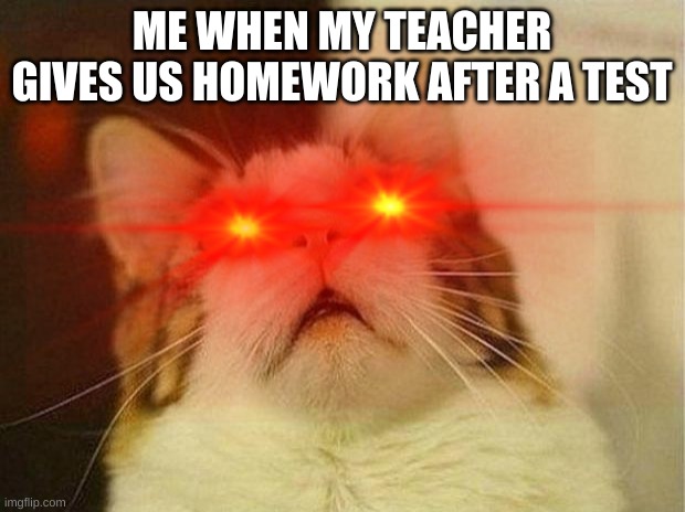 ME WHEN MY TEACHER GIVES US HOMEWORK AFTER A TEST | image tagged in cat memes | made w/ Imgflip meme maker