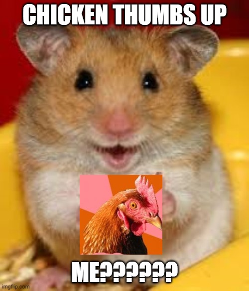 another post | CHICKEN THUMBS UP; ME?????? | image tagged in thumbs up hamster | made w/ Imgflip meme maker