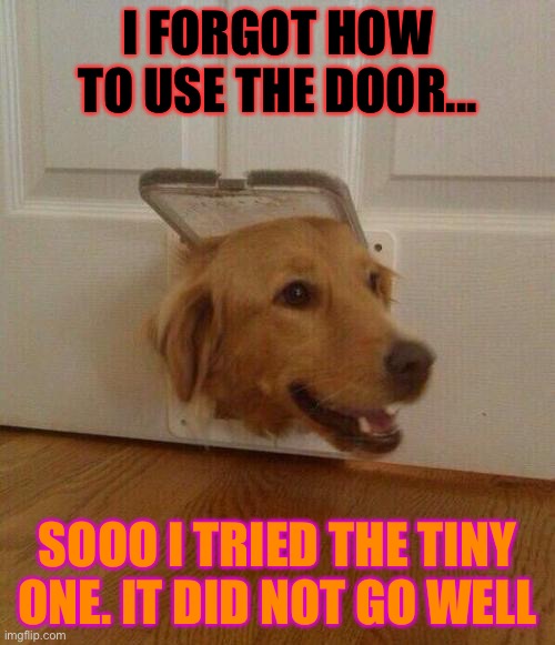 Dogs Man | I FORGOT HOW TO USE THE DOOR... SOOO I TRIED THE TINY ONE. IT DID NOT GO WELL | image tagged in hey check it | made w/ Imgflip meme maker