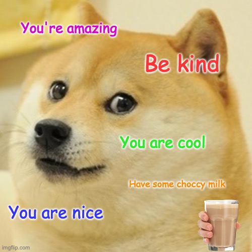 :D | You're amazing; Be kind; You are cool; Have some choccy milk; You are nice | image tagged in memes,doge | made w/ Imgflip meme maker