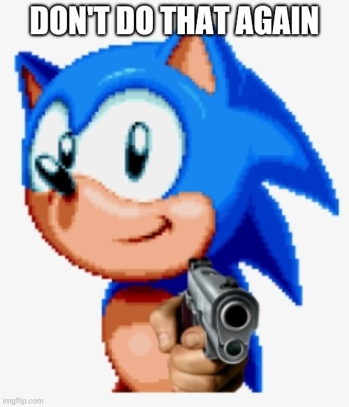 Sonic gun pointed | DON'T DO THAT AGAIN | image tagged in sonic gun pointed | made w/ Imgflip meme maker