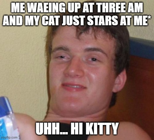10 Guy | ME WAEING UP AT THREE AM AND MY CAT JUST STARS AT ME*; UHH... HI KITTY | image tagged in memes,10 guy,cats | made w/ Imgflip meme maker