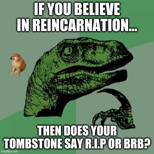 Philosoraptor | IF YOU BELIEVE IN REINCARNATION... THEN DOES YOUR TOMBSTONE SAY R.I.P OR BRB? | image tagged in memes,philosoraptor | made w/ Imgflip meme maker