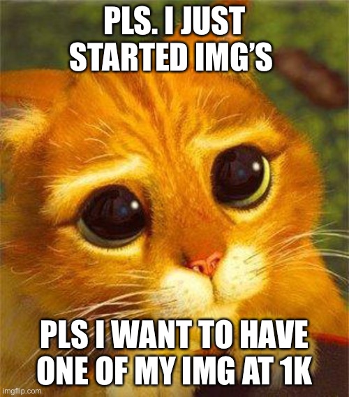 Pls pls pls pls pls pls pls pls pls pppplllllllsssss | PLS. I JUST STARTED IMG’S; PLS I WANT TO HAVE ONE OF MY IMG AT 1K | image tagged in beggin puss | made w/ Imgflip meme maker