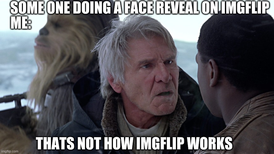 thats not how imgflip works |  SOME ONE DOING A FACE REVEAL ON IMGFLIP; ME:; THATS NOT HOW IMGFLIP WORKS | image tagged in funny memes | made w/ Imgflip meme maker